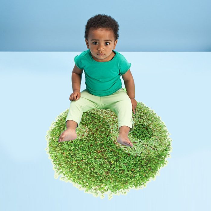 QT-0220 DIY Wall Sticker Green Grass Tai Chi Pattern floor-coverings Wallpapers - Image 2